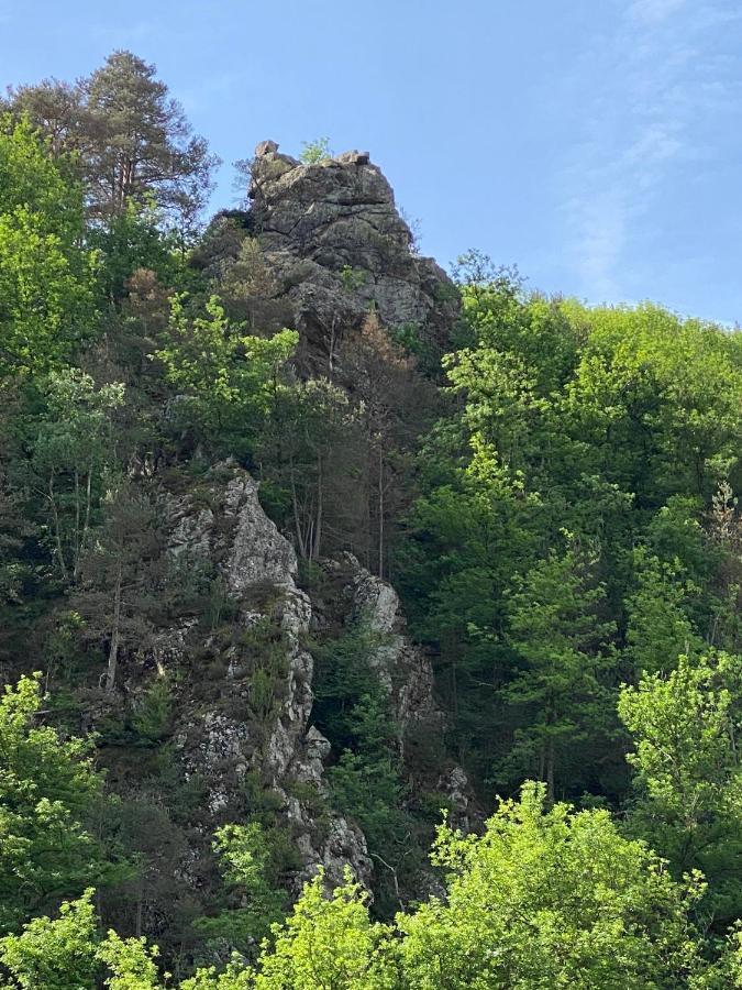 Duplex Roca Del Sucut Lägenhet Ribes De Freser Exteriör bild